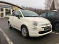 Fiat 500 Hatchback MY23 Weiß - thumbnail 2