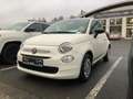 Fiat 500 Hatchback MY23 Weiß - thumbnail 1