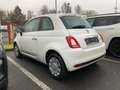 Fiat 500 Hatchback MY23 Weiß - thumbnail 4