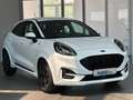 Ford Puma ST-Line HYBRID #AUTOMATIK #ACC #RFK #LED Weiß - thumbnail 6
