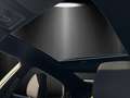 Ford Puma ST Line Glas Dach LED Matrix PDC 360 Kamera Silber - thumbnail 14