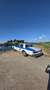 Chevrolet Caprice 5.0 Sedan Std. Weiß - thumbnail 5
