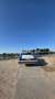 Chevrolet Caprice 5.0 Sedan Std. Weiß - thumbnail 6