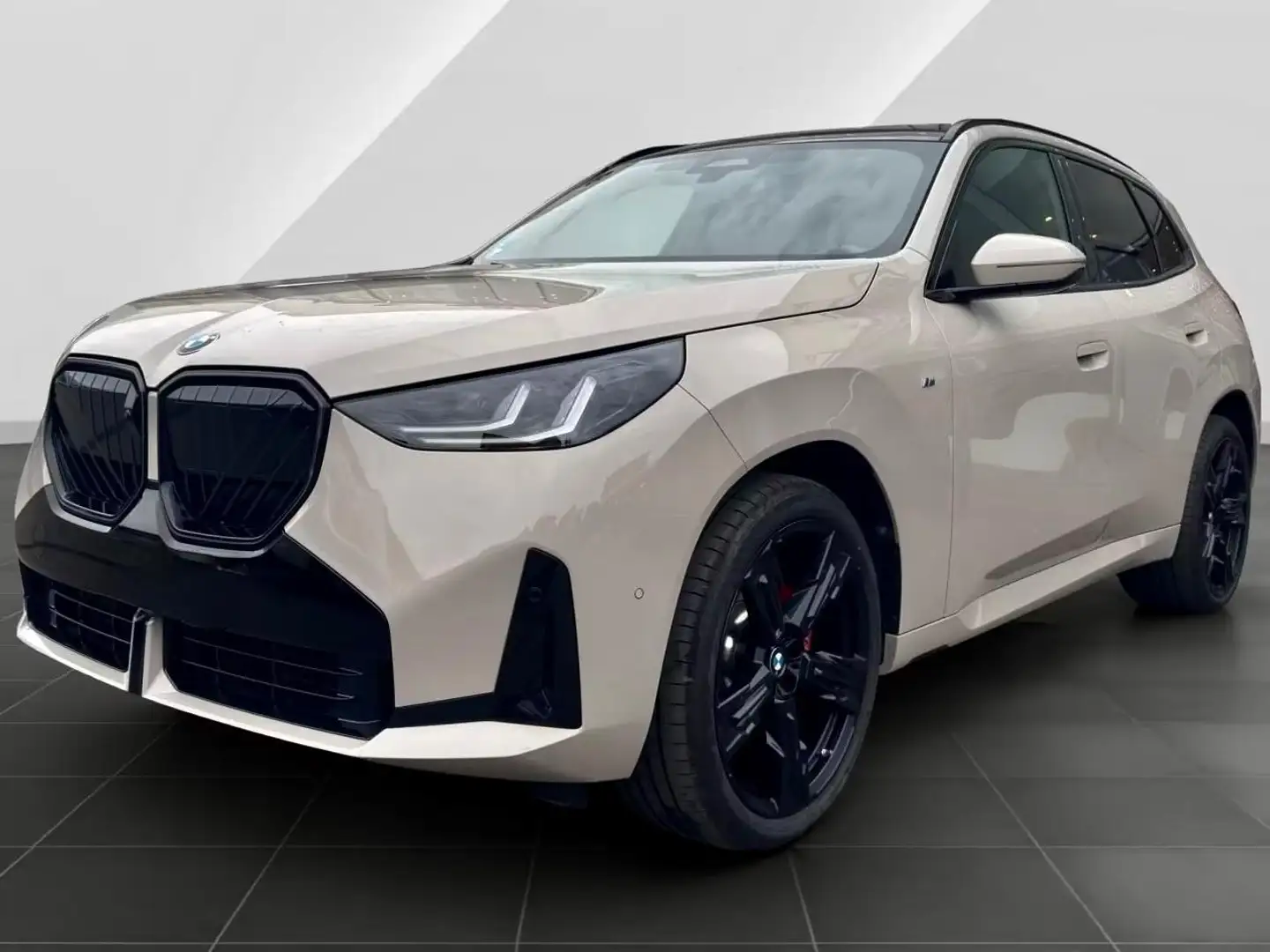 BMW X3 20d/M-Sport Pro/Xdrive/Exclusive/Uff BMW 🇩🇪 Gris - 1