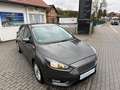 Ford Focus Lim. Titanium Grijs - thumbnail 2