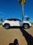 Hyundai TUCSON 1.6 CRDI 48V Maxx 4x2 DT Blanco - thumbnail 8