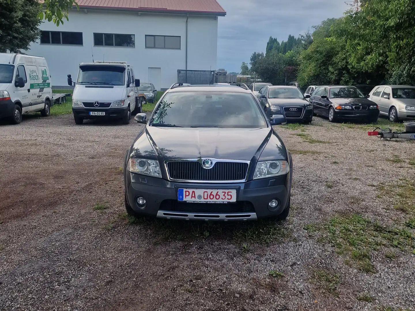 Skoda Octavia Scout 4X4 Grau - 1