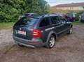 Skoda Octavia Scout 4X4 Grau - thumbnail 7