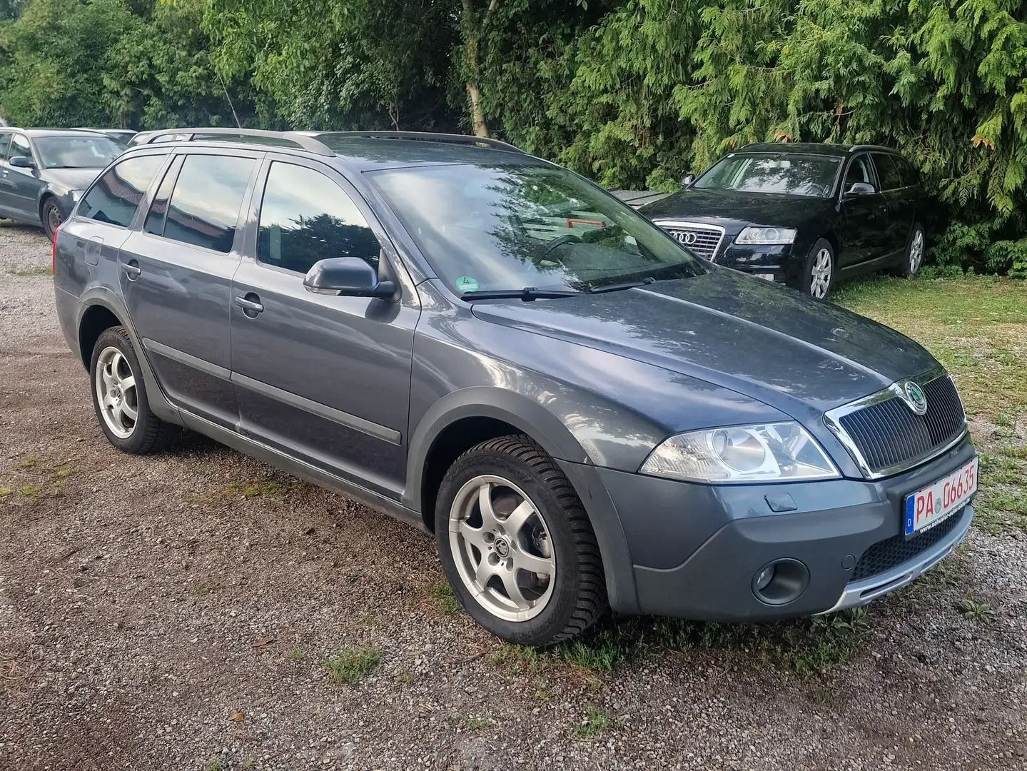 Skoda Octavia Scout 4X4 Grau - 2