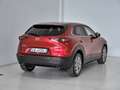 Mazda CX-30 CX-30 2.5 m-hybrid Exclusive Line 2wd 140cv 6mt Rot - thumbnail 7