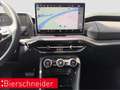Skoda Kodiaq 2.0 TDI DSG 4x4 Selection NAVI AHK MATRIX KESSY 36 Grau - thumbnail 21