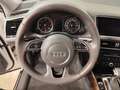 Audi Q5 3.0TDI CD quattro Attraction S-T 258 Blanco - thumbnail 9