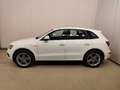 Audi Q5 3.0TDI CD quattro Attraction S-T 258 Blanco - thumbnail 1