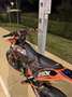 KTM 125 EXC - thumbnail 3