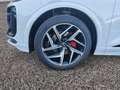 Audi Sonstige Q6 e-tron quattro 2 x S line 95 kWh TechPro Pano Weiß - thumbnail 10