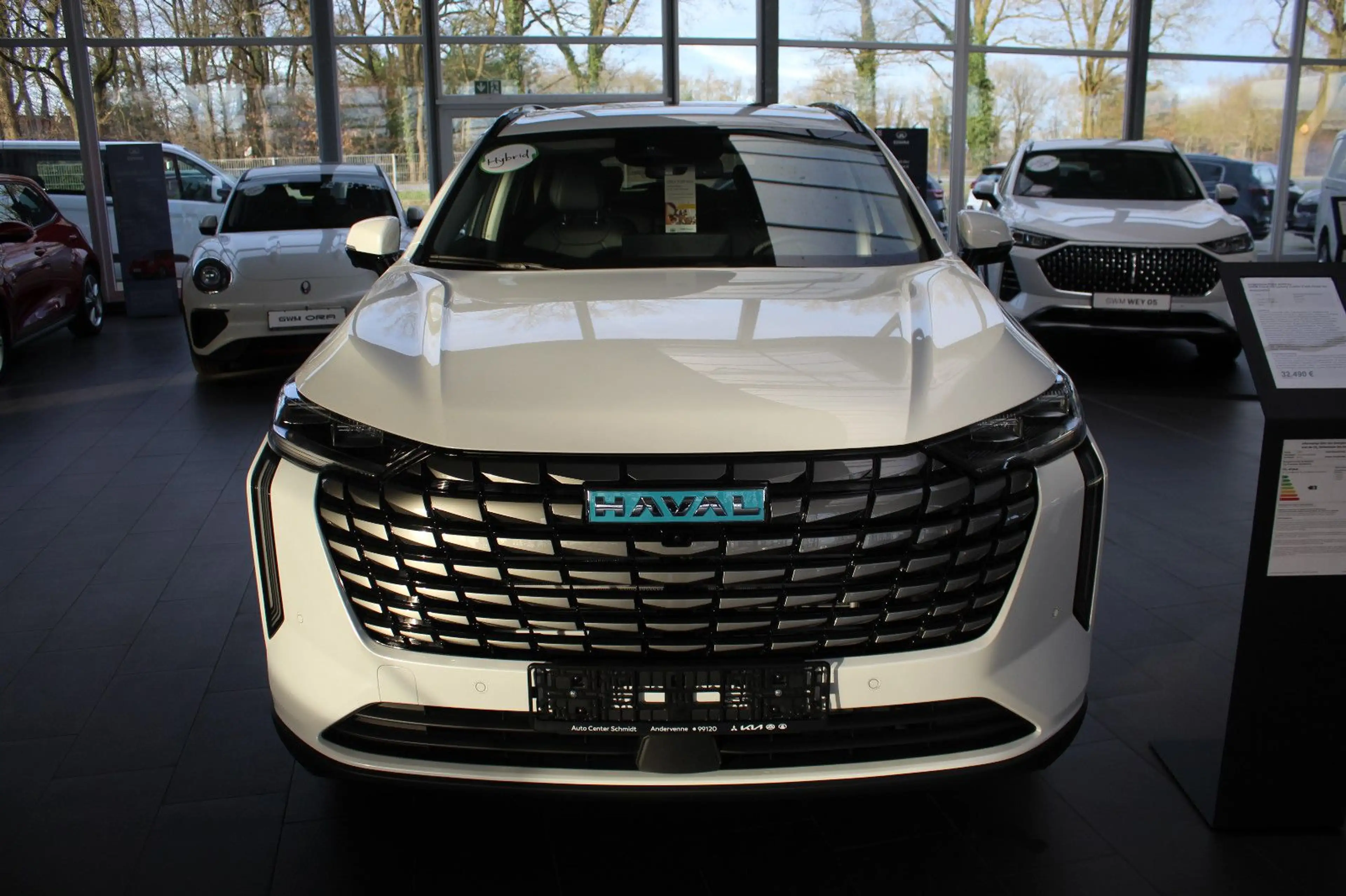 GWM HAVAL H6 Haval H6 Luxury (Leder,Pano,Head Up,Automatik) — photo 3