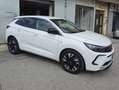 Opel Grandland X 1.5 Business Elegance Ufficiale Italia Nuovissima Bianco - thumbnail 11