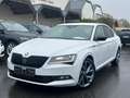 Skoda Superb Lim. Sportline*2.0 TDI DSG*LED*1.HD* Blanc - thumbnail 3
