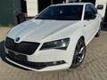 Skoda Superb Lim. Sportline*2.0 TDI DSG*LED*1.HD* Blanc - thumbnail 2