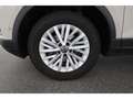 Volkswagen T-Roc 1.5 TSI Life DSG AHK/LED/NAV/DC/PDC/SH Grau - thumbnail 8