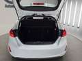 Ford Fiesta Cool & Connect/KLIMA/PDC/AHK/UVM Blanc - thumbnail 17