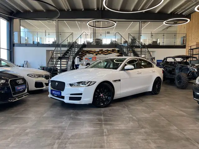 Jaguar XE Pure *NAVI*360°*SZHZ*TEMPO*BI-XENON*PDC*TOUCH