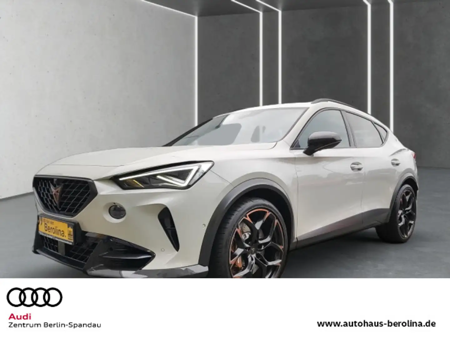 CUPRA Formentor 2.5 TSI 4D VZ5 Edt. Taiga Grey DSG Grau - 1