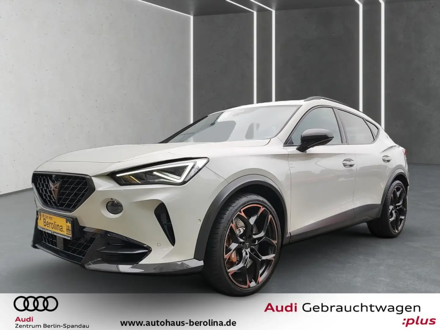 CUPRA Formentor 2.5 TSI 4D VZ5 Edt. Taiga Grey DSG Grau - 2