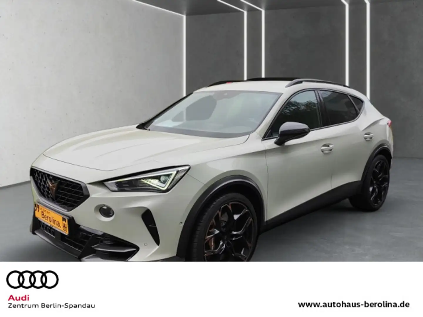 CUPRA Formentor 2.5 TSI 4D VZ5 Edt. Taiga Grey DSG Grau - 1
