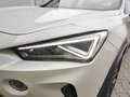CUPRA Formentor 2.5 TSI 4D VZ5 Edt. Taiga Grey DSG Grau - thumbnail 8