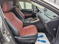 Lexus NX 200t t AWD KAM PDC AHK Gris - thumbnail 15