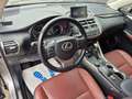 Lexus NX 200t t AWD KAM PDC AHK Gris - thumbnail 9