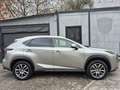 Lexus NX 200t t AWD KAM PDC AHK Gris - thumbnail 6