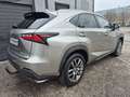 Lexus NX 200t t AWD KAM PDC AHK Gris - thumbnail 5