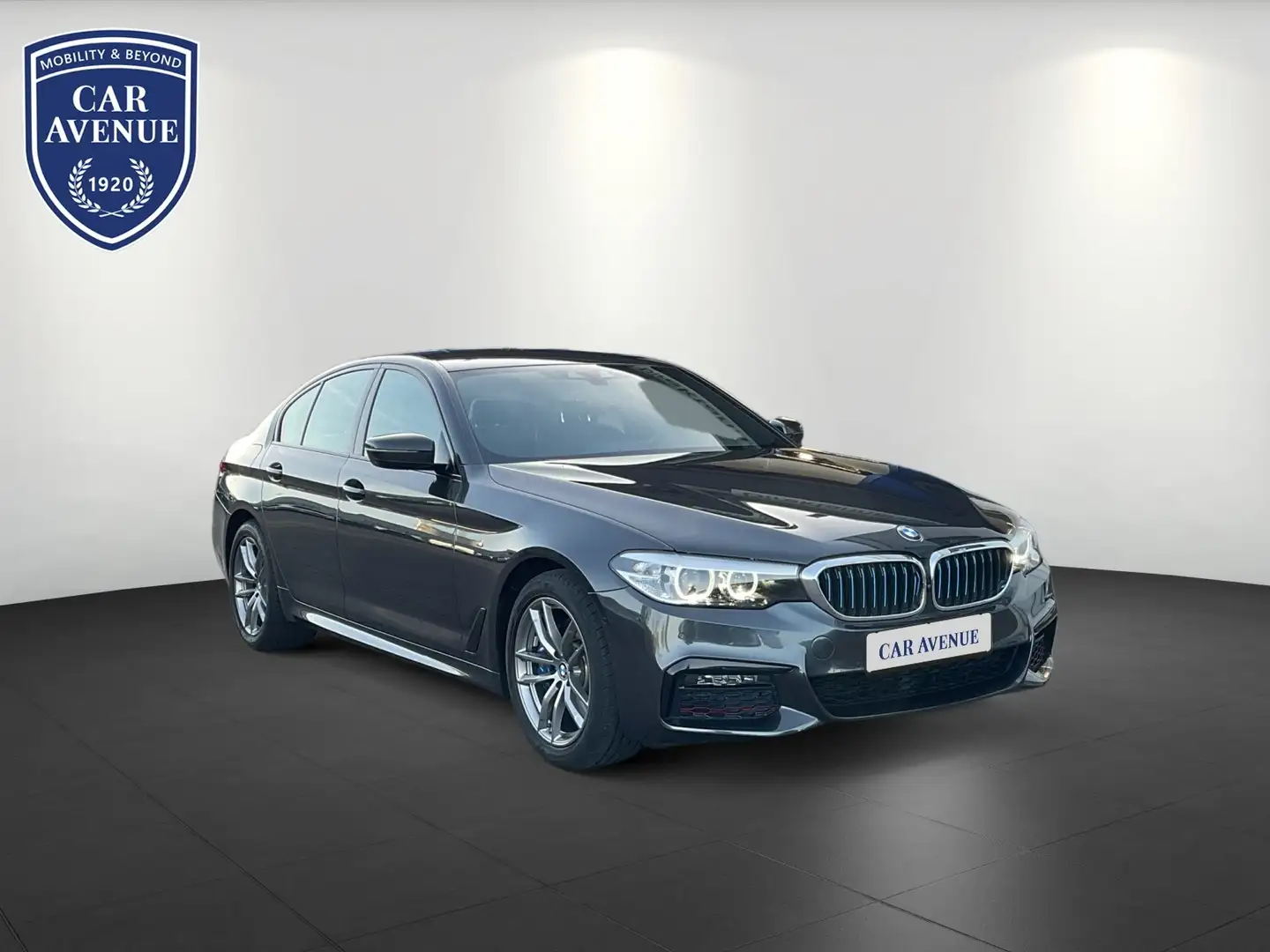 BMW 530 i M Sport Kamera Memory Sitze Grau - 2