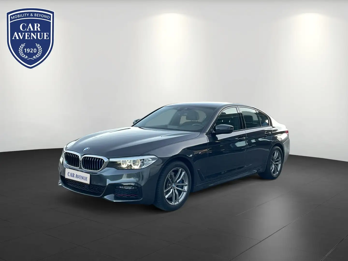 BMW 530 i M Sport Kamera Memory Sitze Grau - 1
