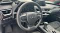 Lexus UX 250h 2.0 BUSINESS AUTO 184 5P Gris - thumbnail 14