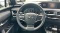 Lexus UX 250h 2.0 BUSINESS AUTO 184 5P Gris - thumbnail 21