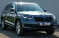 Skoda Kodiaq 1.5 TSI Limited Bus. Edition -7 pers. - 19 inch Grijs - thumbnail 4