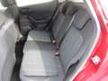 Ford Fiesta Cool & Connect, 1 Hand, GARANTIE Rot - thumbnail 6