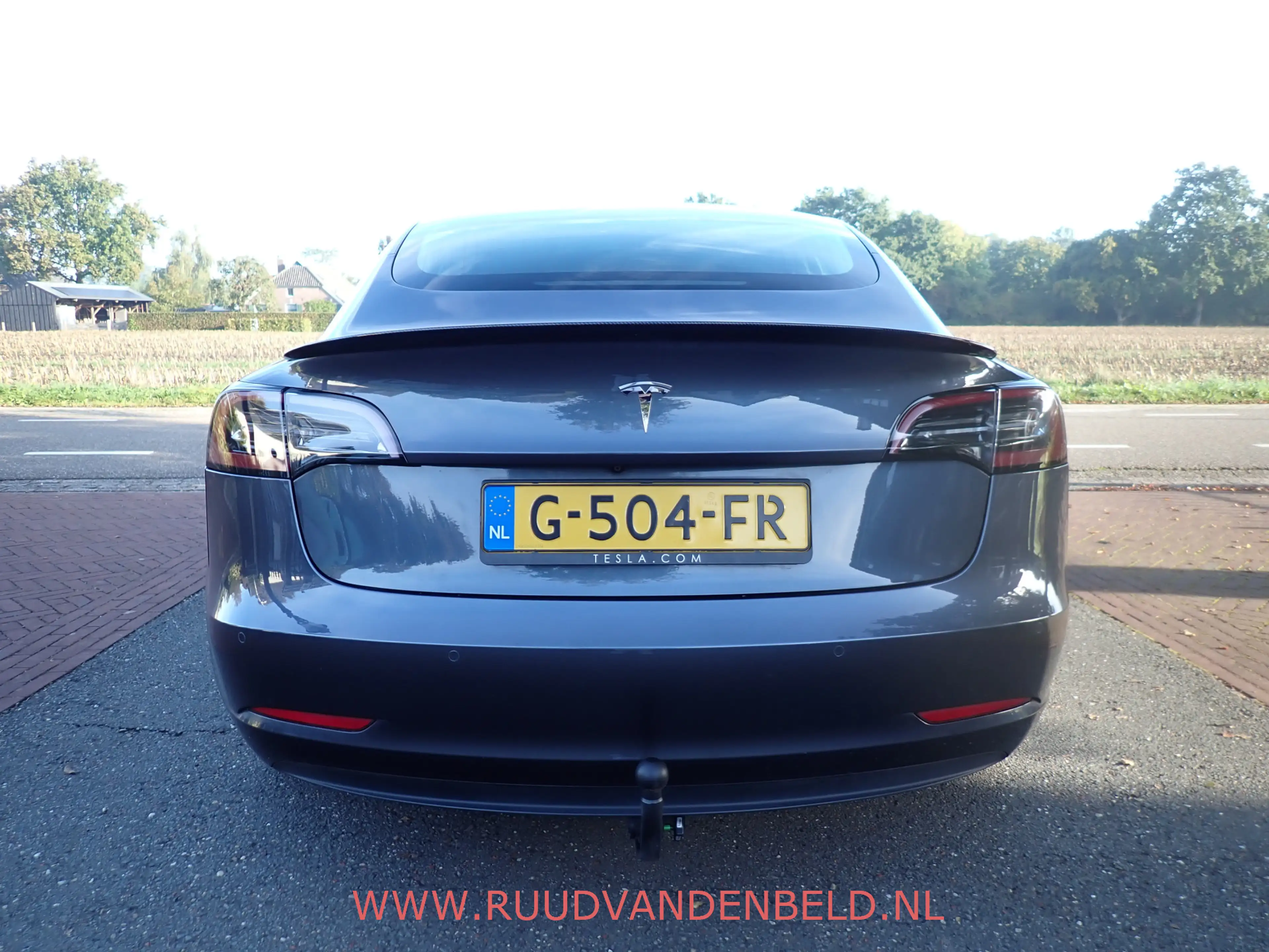 Tesla Model 3 SR+ RWD 60 kWh SOH 86% / TREKHAAK / PANODAK / 19'' — photo 33