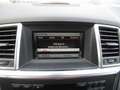 Mercedes-Benz ML 250 250 BLUETEC SPORT 7G-TRONIC + Gris - thumbnail 12