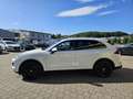 Porsche Cayenne Diesel*Matrix*Panoramadach*GTS* Weiß - thumbnail 4