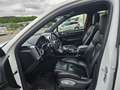 Porsche Cayenne Diesel*Matrix*Panoramadach*GTS* Weiß - thumbnail 11