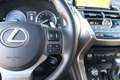 Lexus NX 300h Hybride AWD President Line I Mark Lev. I Open dak Gris - thumbnail 21