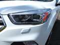 Ford Kuga 2.0 TDCi 4x4 Aut. Titanium AHK,Tempomat Blanc - thumbnail 9