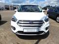 Ford Kuga 2.0 TDCi 4x4 Aut. Titanium AHK,Tempomat Blanc - thumbnail 10