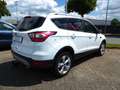 Ford Kuga 2.0 TDCi 4x4 Aut. Titanium AHK,Tempomat Blanc - thumbnail 3