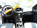 Ford Kuga 2.0 TDCi 4x4 Aut. Titanium AHK,Tempomat Blanc - thumbnail 7
