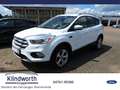 Ford Kuga 2.0 TDCi 4x4 Aut. Titanium AHK,Tempomat Blanc - thumbnail 1